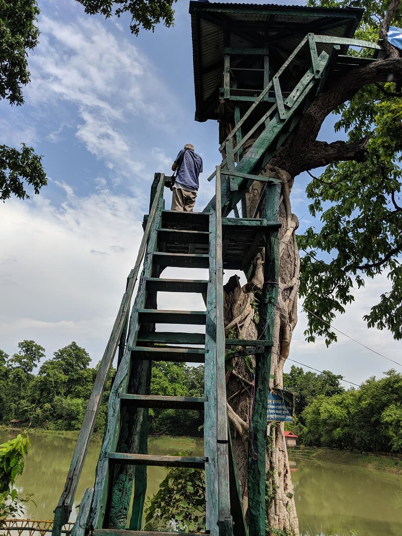 Ghodaghodi tower