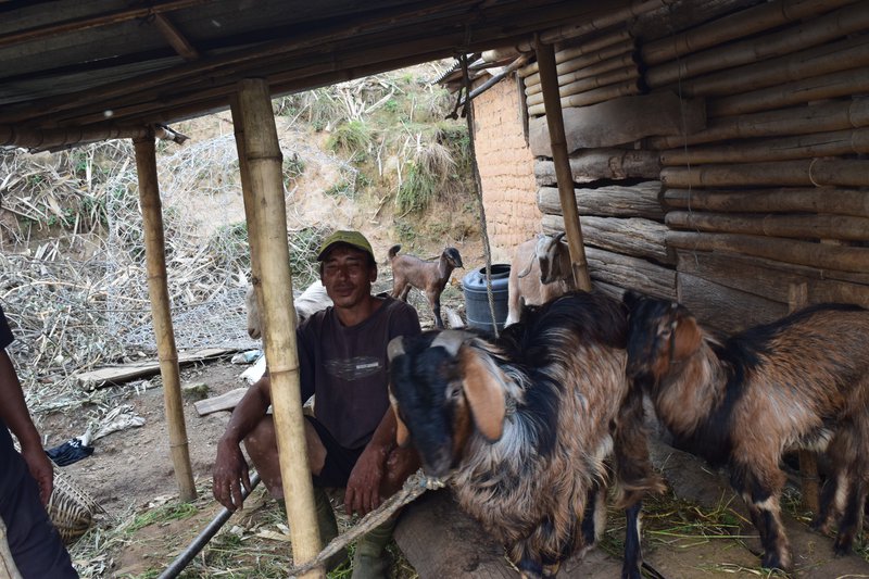 Bhojpur CAT22.JPG