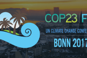 COP23.png