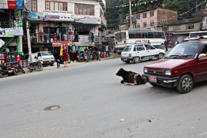 Chaos and peace in Kathmandu