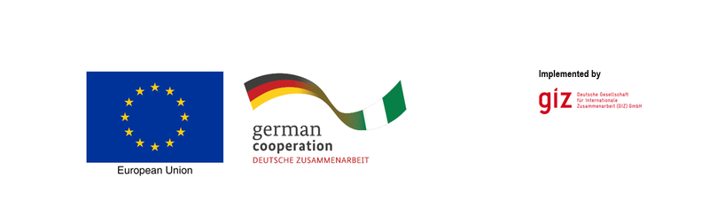 EU,Germany and giz.png