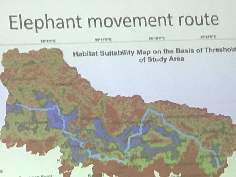 Elephant movement route.jpg