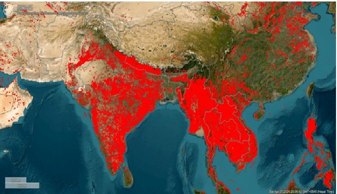 Forest fire NASA.jpg