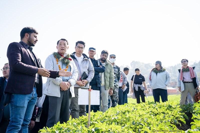 GAO DG inspection.jpg