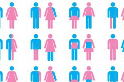 GenderGraphic2-308x170.jpg