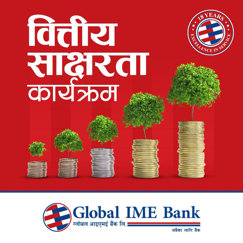 Global financial literaccy.png