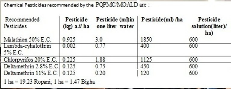 Graph 2.jpg