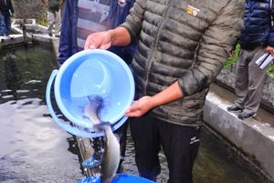 HIMALI PROJECT Changing Livelihood