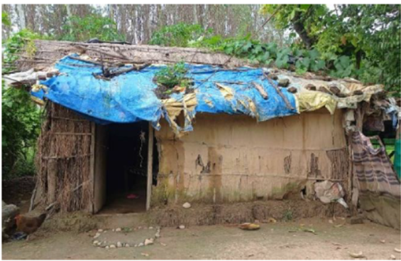 House in bardia.png