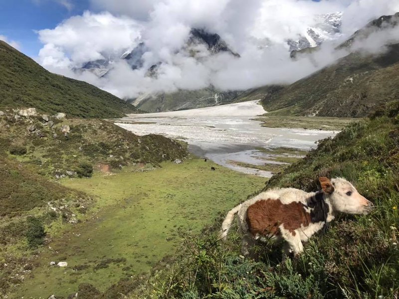 Kigurching Kharka in the Upper Langtang Valley in river.jpg