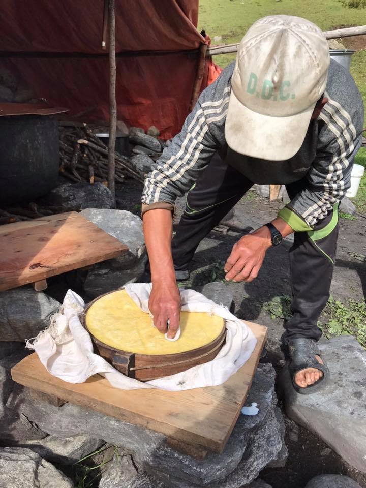 Kigurching Kharka in the Upper Langtang Valley cheese making.jpg