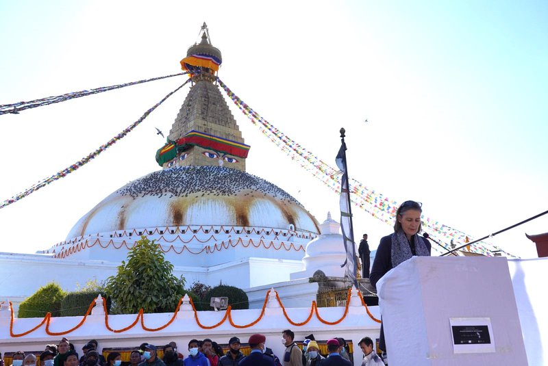 Ms. Elke Wisch, UNICEF Representative in Nepal reading the UN Secretary General’s statement..jpeg