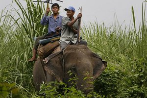 Nepal Wildlife: Pat on the Back