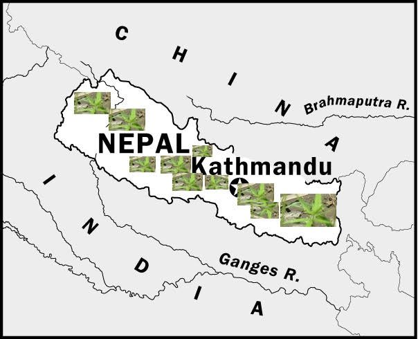 Nepal map of hem.jpg