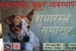 Nepal’s first Metropolitan Dog Management Program- “Manumitra” launched