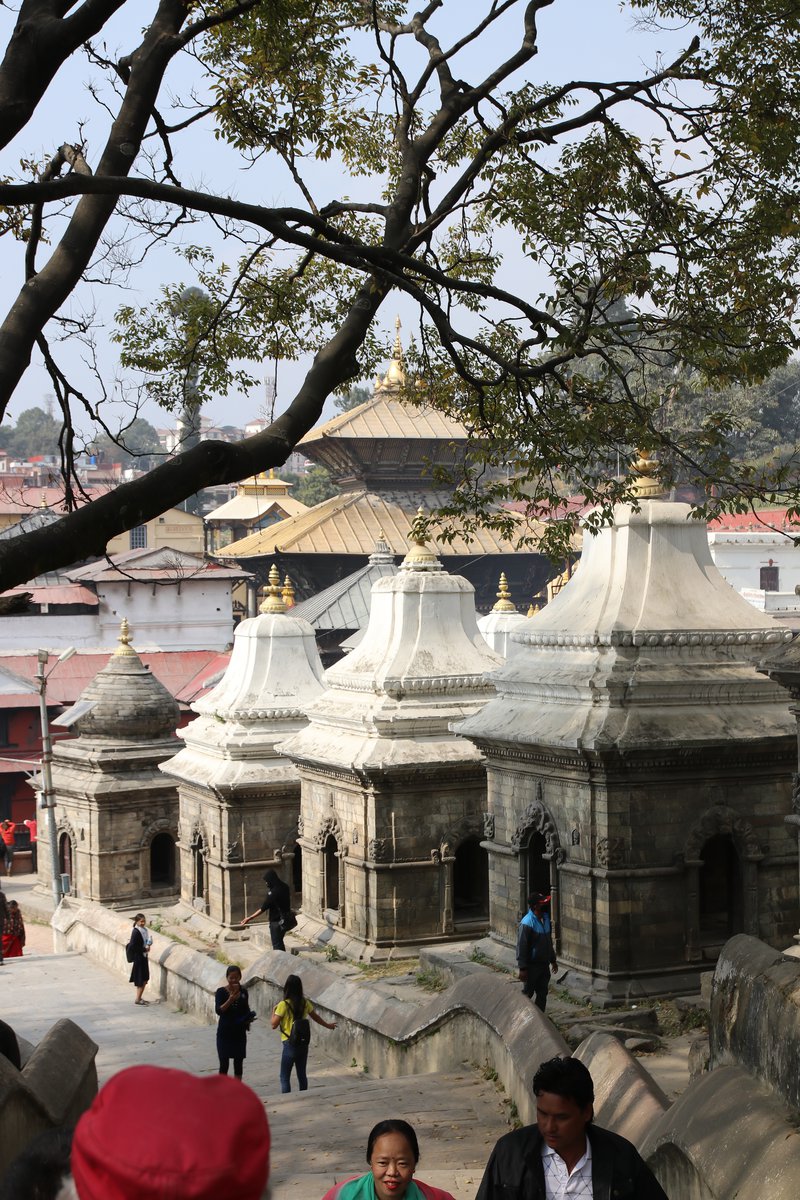 Pashupati1.jpg