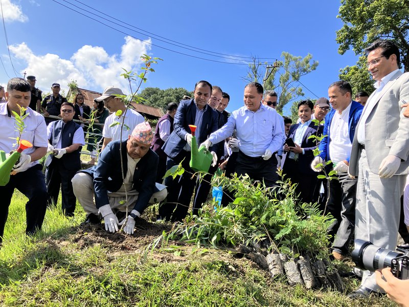 Planting treess 2.jpg