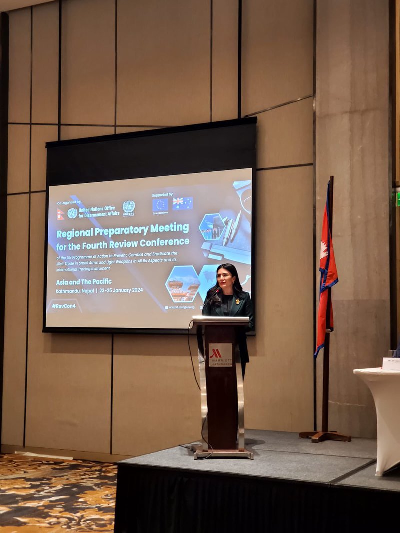 President-Designate UNPoA RevCon4 Maritza Chan speaking at the Asia Pacific Regional Preparatory Meeting on RevCon4 of the UNPoA on SALW in Kathmandu.jpeg