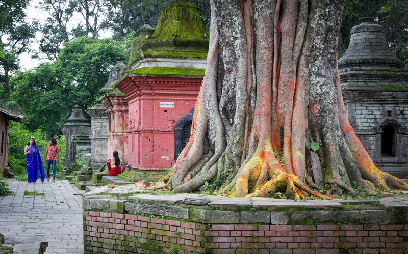 Shiva temples.jpg