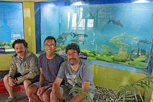 Team Behind New Aquarium Exhibit of Nepali Golden Mahseer - low res.jpg