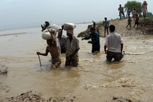 Terai flood.jpg