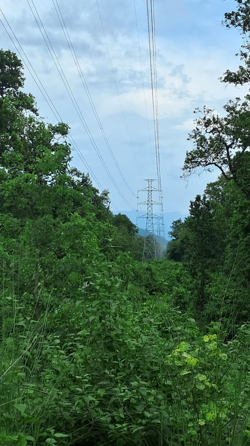 Transmission Line 4.JPG