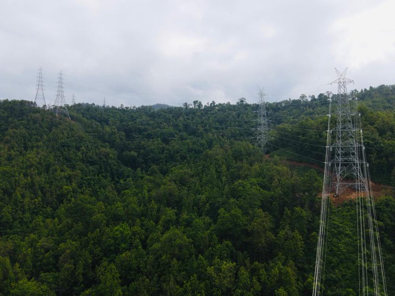 Transmission line 444.jpg