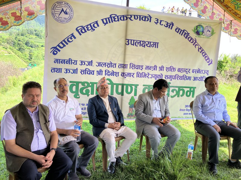 Tree plantation at Pharping .jpg