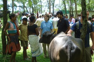 U.S support to livestock training