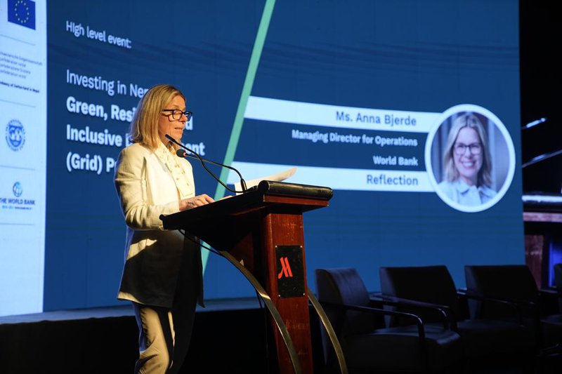 World Bank MDO Anna Bjerde.jpeg