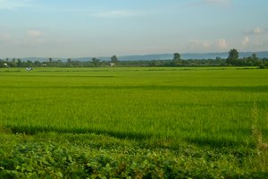 agriculture-in-nepal.jpg