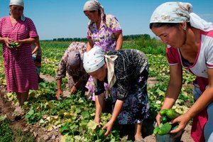 agriculture_01.jpg