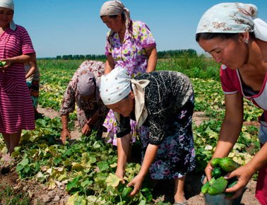 FAO Member Nations In Asia And The Pacific To Chart A Course For Securing Food  Security | New Spotlight Magazine