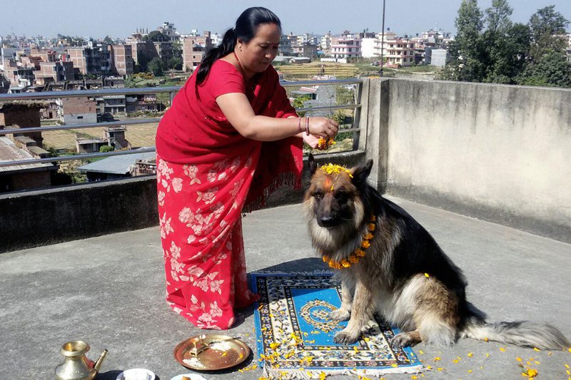 dog-worship-kukur-tihar.jpg