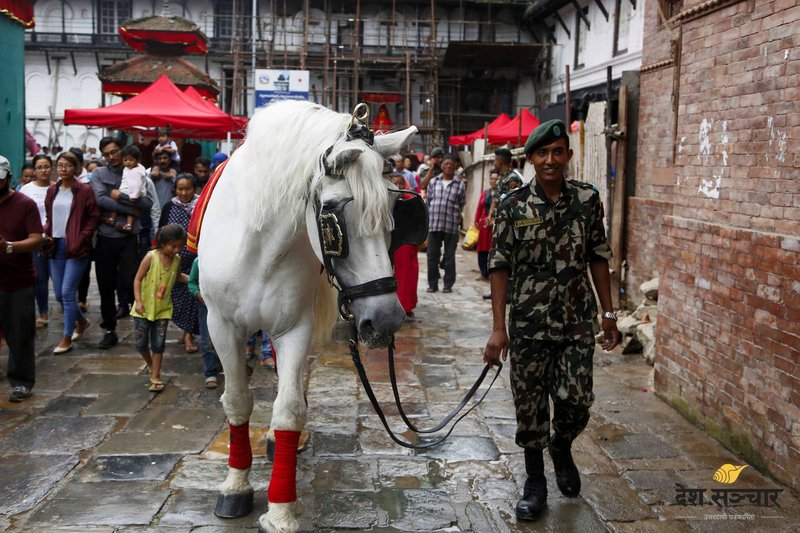 indra-jatra_lingoo-8.jpg