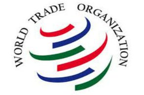 s300_wto_1.jpg