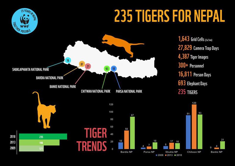 tiger statistic WWF.jpg